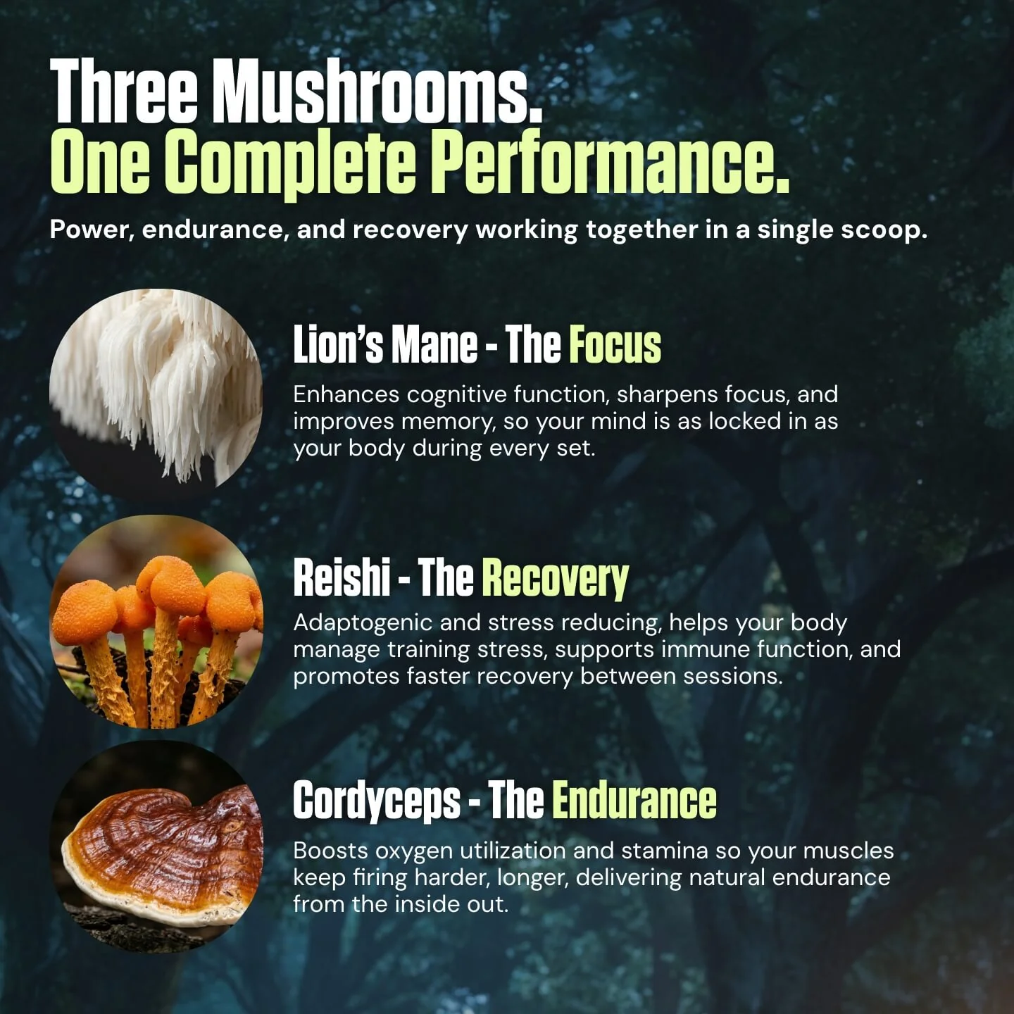 Kinetic™ - Mushroom Enhanced Pre-Workout - Image 4