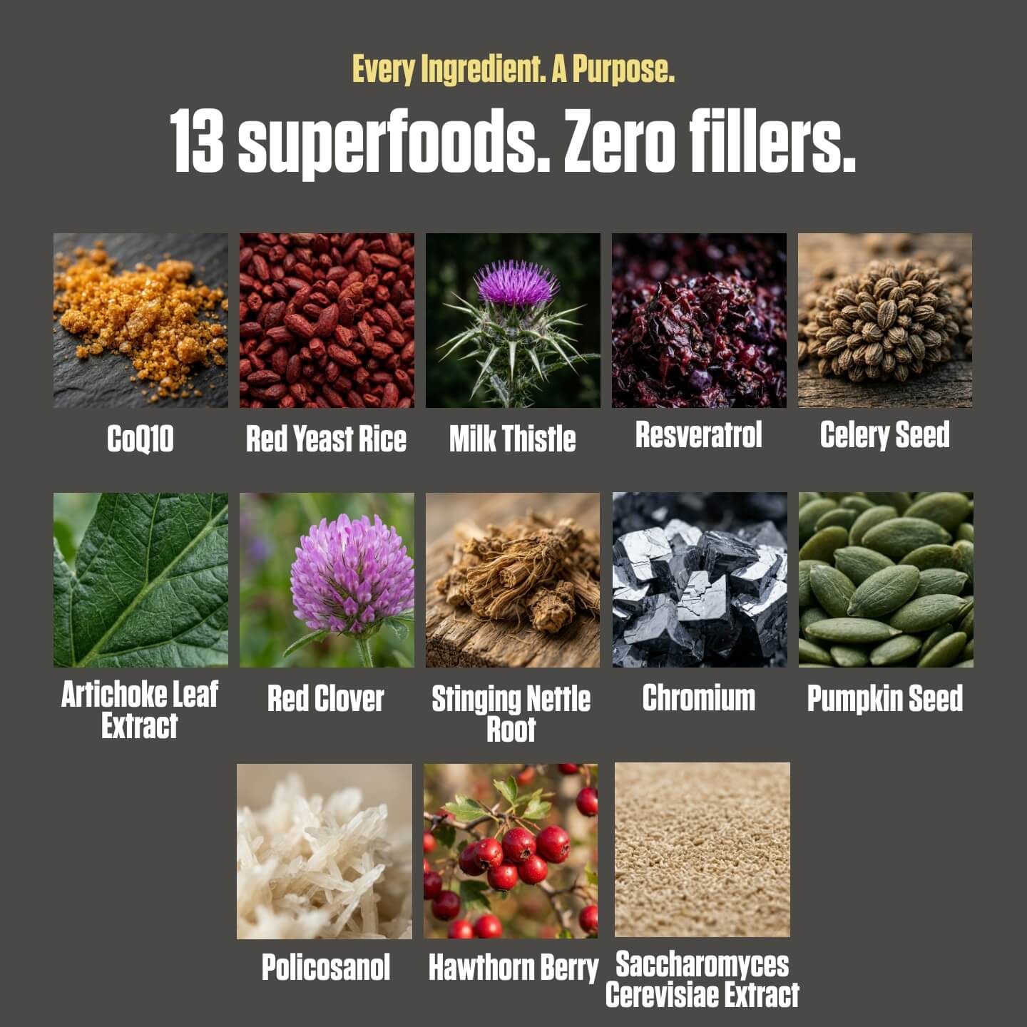 Nektar® - Superfood & Vital Organ Health - Image 34