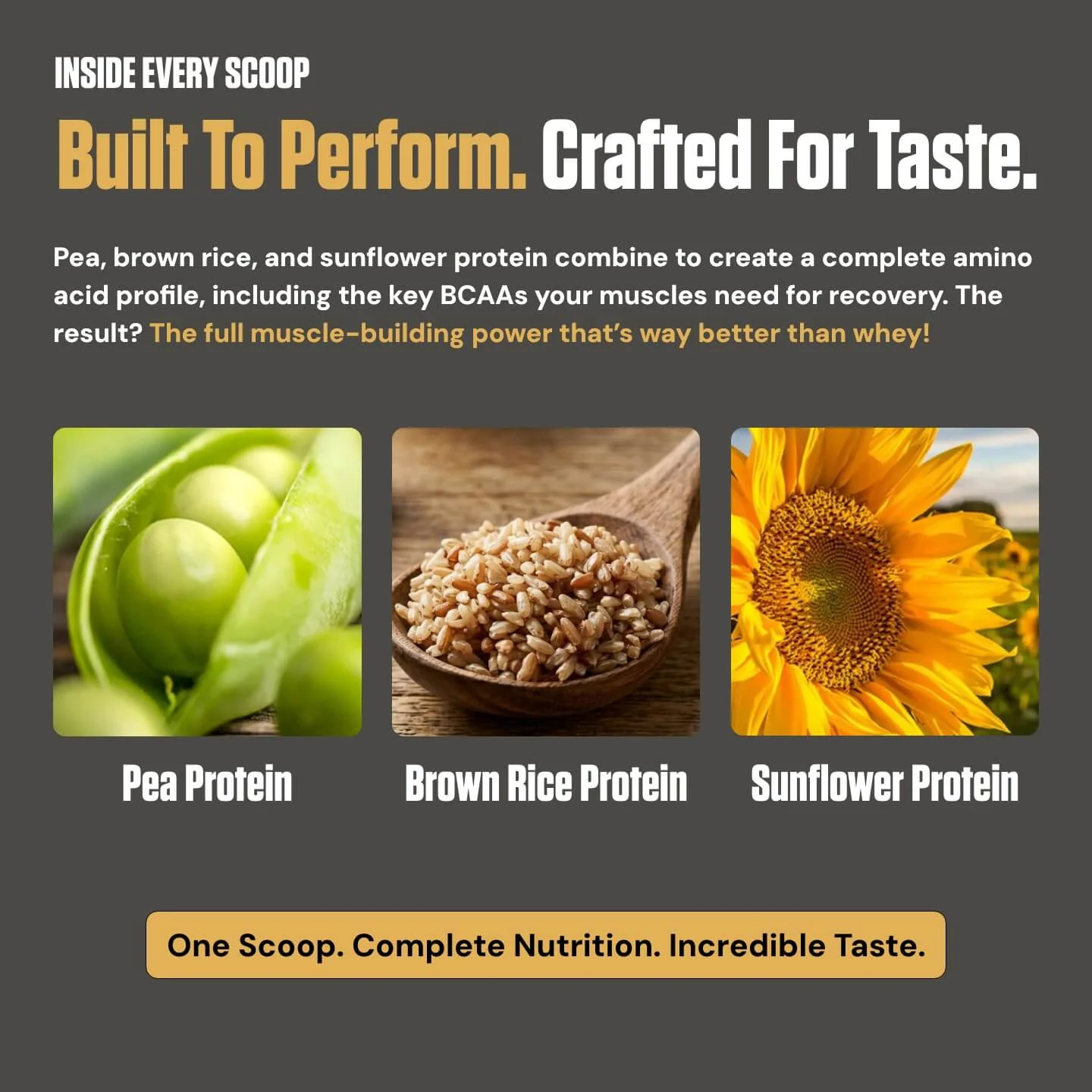 Planta® - Premium Plant Protein (25 Servings) - Image 88